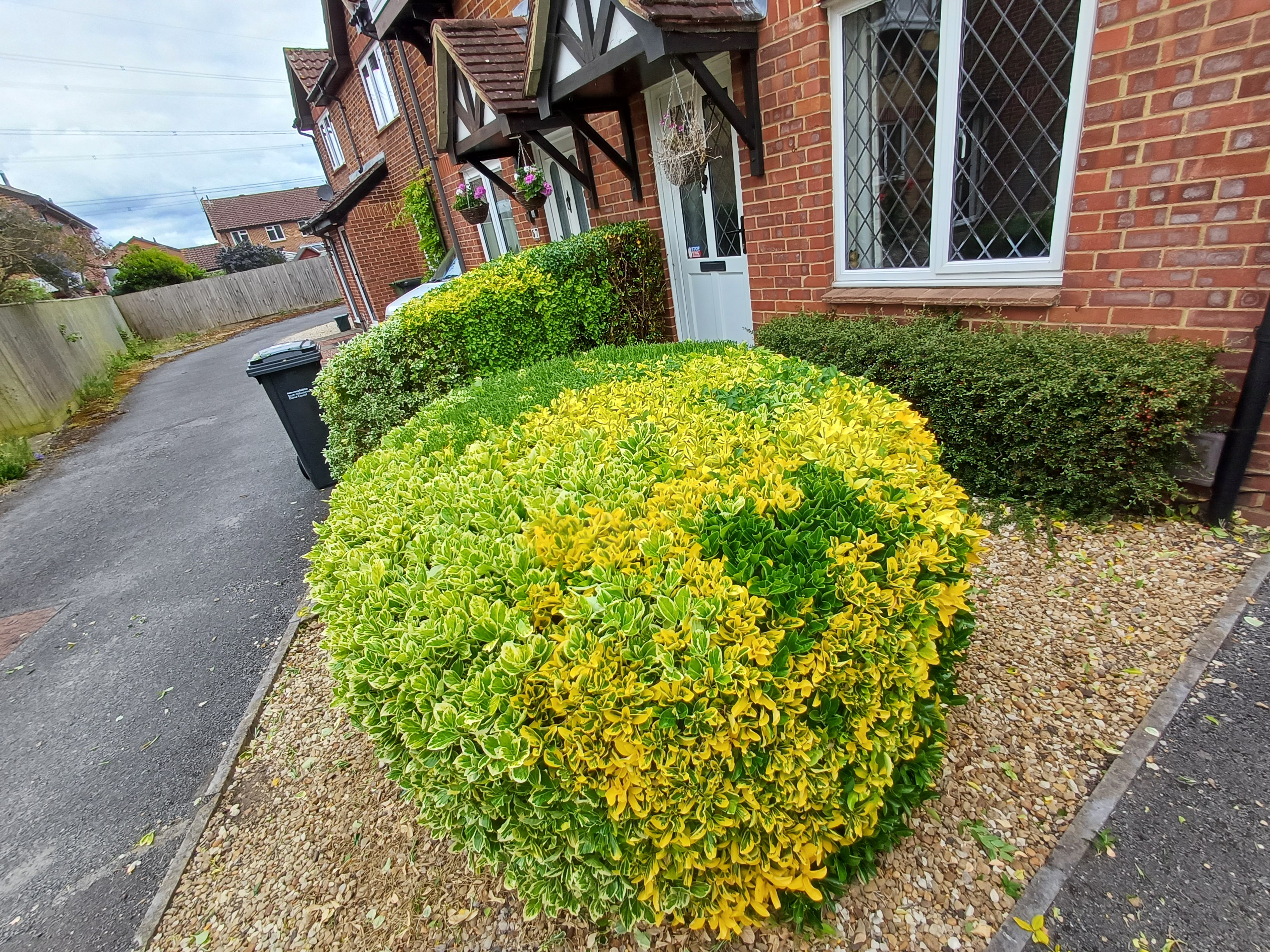 Garden Maintenance